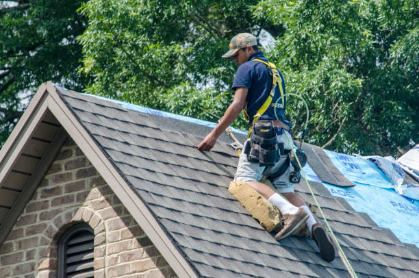 Best Residential Roofing Contractor  in Kankakee, IL